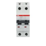 ST202M-K63 Miniature Circuit Breaker - 2P - K - 63 A