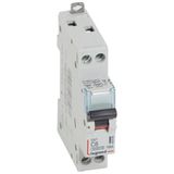 DX³6000 10kA high inlet and low outgoing screw circuit breaker U+N 230V~ - 6A - curve C - 1 module