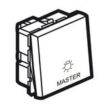 Arteor™ - Master switch for lighting control - 2 modules - Magnesium