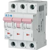 Miniature circuit breaker (MCB), 2 A, 3p, characteristic: D