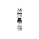 DSN201 A-C16/0.01 Residual Current Circuit Breaker with Overcurrent Protection