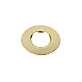 UNIVERSAL DOWNLIGHT cover for Downlight IP65  gold matt