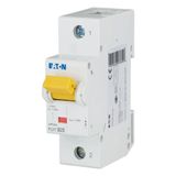 Miniature circuit breaker (MCB), 25A, 1p, B-Char, AC