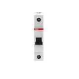 SH201-C4 Miniature Circuit Breaker - 1P - C - 4 A