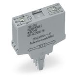 Relay module Nominal input voltage: 24 VDC 1 changeover contact gray