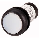 Illuminated pushbutton actuator, Flat, maintained, 1 N/O, Screw connection, LED white, White, Blank, 230 V AC, Bezel: black