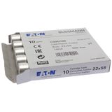 Fuse-link, LV, 100 A, AC 500 V, 22 x 58 mm, gL/gG, IEC