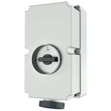 Wall mounted recept., 125A3p6h230V, IP67