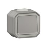 Plexo 10A waterproof illuminated push button delivered complete with indicator light for gray surface mounting