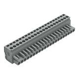 1-conductor female connector, angled CAGE CLAMP® 2.5 mm² gray