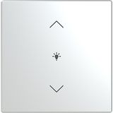 Cover for dimmer icon 1. Rocker keypad 63