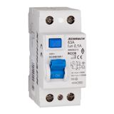 Residual Current Circuit Breaker 10kA, 63A, 2-pole, 100mA