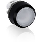 MP1-11C Pushbutton