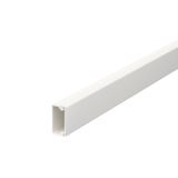 WDK10020VW Wall trunking system with base perforation 10x20x2000