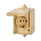 5518-3969 D Socket outlet with earthing contacts, with hinged lid, for multiple mounting