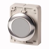 Pushbutton, RMQ-Titan, Flat, momentary, gray, Blank, Metal bezel