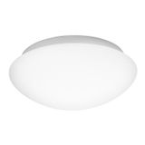 White Opal Glass & Metal LED E27 2x12 Watt 230 Volt IP44 Bulb Excluded D: 30 H: 11 cm