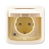 5518A-3999 C Socket outlet with earthing contacts, shuttered, with hinged lid