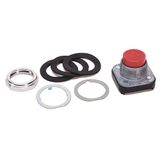 Push Button, Extended Head, 30mm, Red, NEMA 4/13