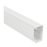 Trunking universal 100x50 2M