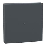 Rocker for button module 1-gang, anthracite, system M