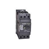 113827 Manual motor protective circuit breaker Ex9S80A 20AM