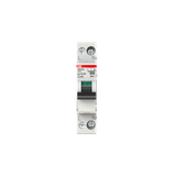 DSN201 AC-C10/0.03 Residual Current Circuit Breaker with Overcurrent Protection