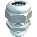 V-TEC L PG21 LGR Cable gland with long connection thread PG21