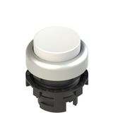 White protruding luminous button E2 1PL2S2290