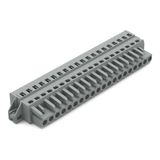 1-conductor female connector CAGE CLAMP® 2.5 mm² gray