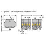 2-conductor terminal strip on one side with push-buttons with snap-in