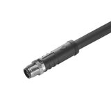 Sensor-actuator Cable (assembled), One end without connector, M12, Num