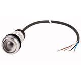 Pushbutton, Flat, momentary, 2 N/O, Cable (black) with non-terminated end, 4 pole, 3.5 m, Without button plate, Bezel: titanium