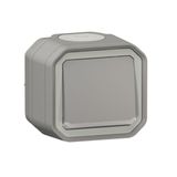 Plexo 10A waterproof illuminated switch or two-way switch supplied complete with indicator light for gray surface mounting