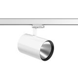 DEECOS S maxi, 35 W, 4350 lm, 930, white, DALI Surface mounted project