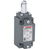 LS43M13B11 Limit Switch