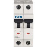 Miniature circuit breaker (MCB), 2 A, 2p, characteristic: B, 6 kA