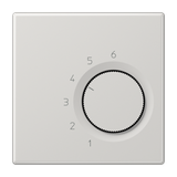 centre plate for room thermostat insert