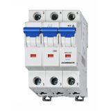 Miniature Circuit Breaker (MCB) D, 6A, 3-pole, 10kA