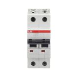 ST202M-K60 Miniature Circuit Breaker - 2P - K - 60 A