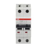 ST202M-K30 Miniature Circuit Breaker - 2P - K - 30 A