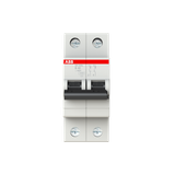 SH202L-B40 Miniature Circuit Breaker - 2P - B - 40 A