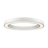 Ceiling White Ring D1800 4000K  Dimmable