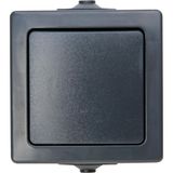 Cross switch, NAUTIC, colour: anthracite