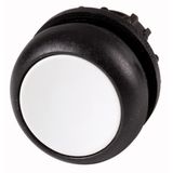 Pushbutton, RMQ-Titan, Flat, momentary, gray, Blank, Bezel: black