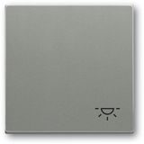 2520 LI-803 CoverPlates (partly incl. Insert) Busch-axcent®, solo® grey metallic