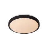 DASHER Flush ceilin. Bathr.-Black-Ø29,3-LED-12W