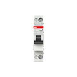 DSN201 A-C20/0.03 Residual Current Circuit Breaker with Overcurrent Protection