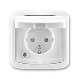 5518A-3999 B Socket outlet with earthing contacts, shuttered, with hinged lid
