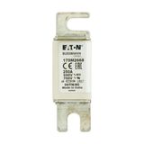 Fuse-link, high speed, 250 A, AC 690 V, DIN 00, aR, DIN, IEC, single indicator, live gripping lugs